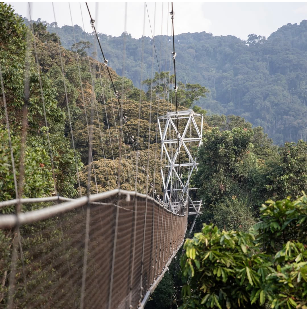 Nyungwe National Park